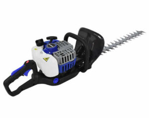 oferta16